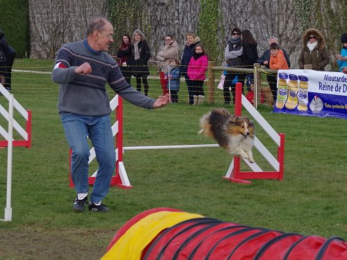 Concours d'agility, Barges, 1 avril 2018