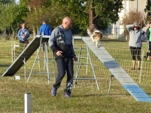 Concours d'agility de Fontaines, le 16 septembre 2018