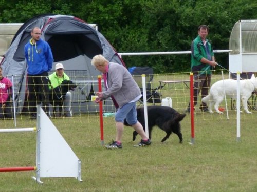 Concours d'agility, Magny sur Tille, 2 juillet 2017