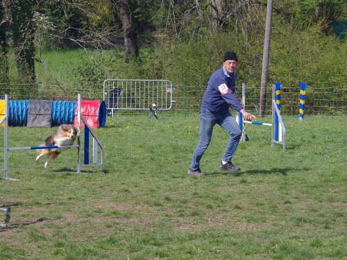 Concours d'agility, Gergy, 14 avril 2019