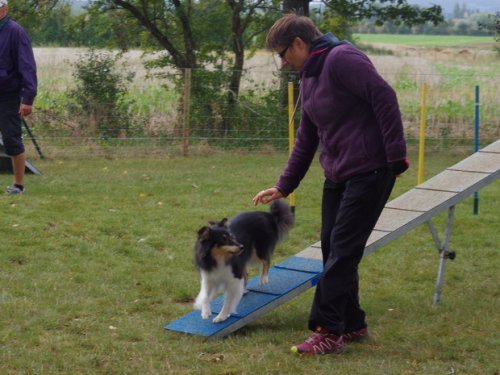 CAESC et Pass-agility Fontaines 17 septembre 2016