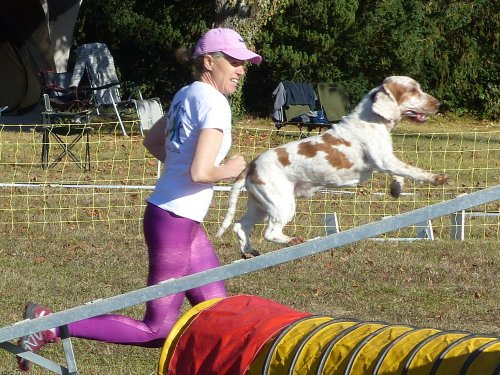 Concours d'agility, Fontaines 11 septembre 2022