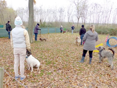 Education canine, 3 décembre 2022