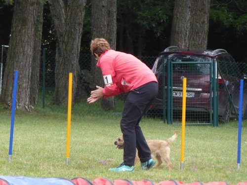 Concours d'agility, Daix, 17 juin 2018