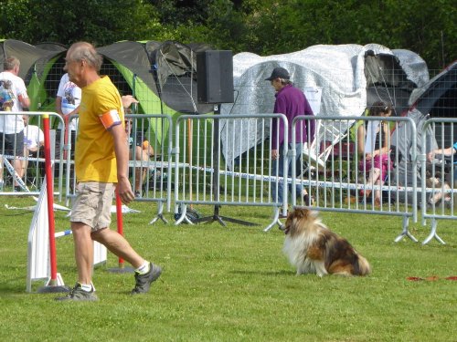 Concours d'agility, Montbard, 24 juin 2018