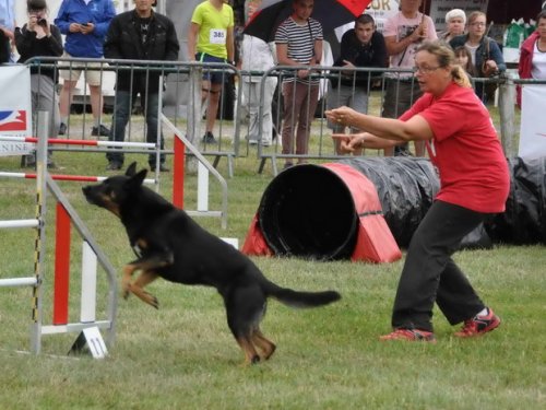 Finale nationale 2015 du Trophée par équipe à Coucy le Château