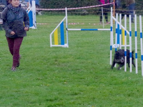 Concours d'agility, Barges, 31 mars 2024