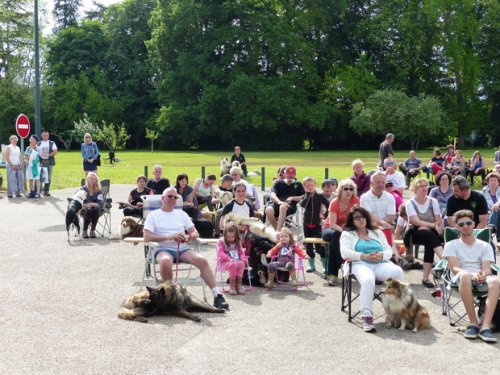 Concours d'agility de Fontaines, le 29 mai 2016