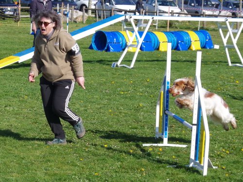 Concours d'agility, Barges, 9 avril 2023