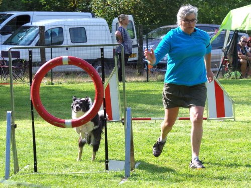 Concours d'agility, Sanvignes les Mines, 6 août 2016