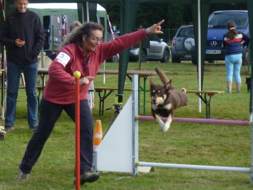 Concours d'agility, Autun, 10 septembre 2017