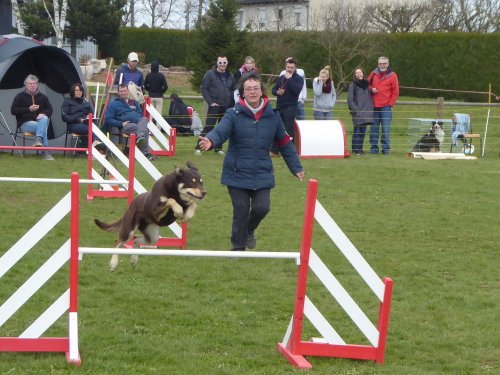 Concours d'agility, Barges, 1 avril 2018