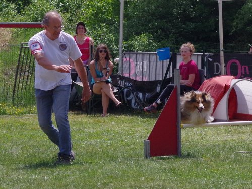 Concours d'agility, Messigny Vantoux, 12 et 13 mai 2018