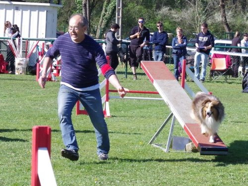 Concours d'agility, Macon, 26 mars 2017