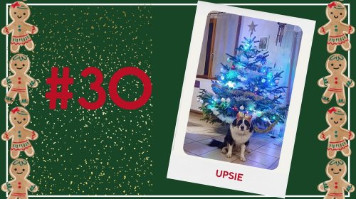 Concours photos 2024 : sur le thème de Noël