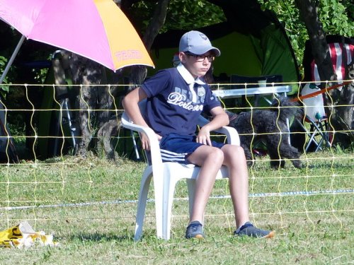 Concours d'agility de Fontaines, le 28 mai 2017