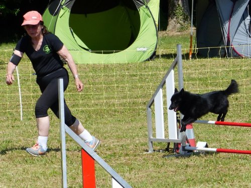 Concours d'agility de Fontaines, le 28 mai 2017