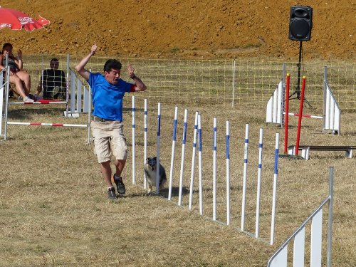 Concours d'agility de Fontaines, le 15 septembre 2019