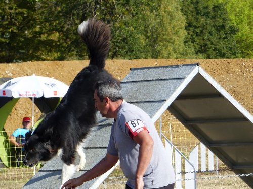 Concours d'agility de Fontaines, le 15 septembre 2019