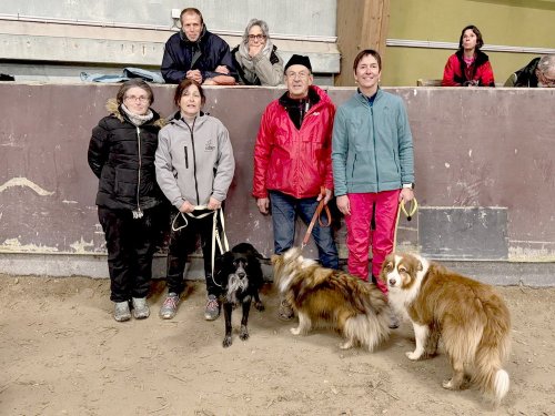 Concours d'agility, Dijon 8 décembre 2024