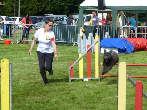 Concours d'agility, Autun, 14 septembre 2014