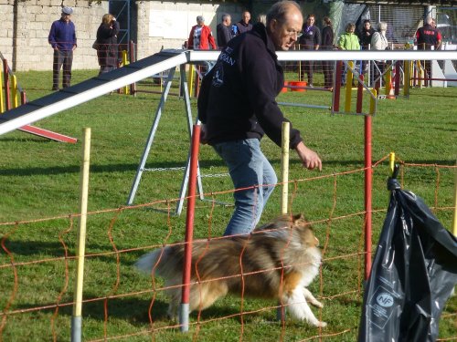 Concours d'agility, Autun, 10 septembre 2017