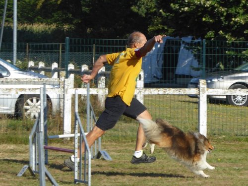 Concours d'agility, Montret, 29 juillet 2018