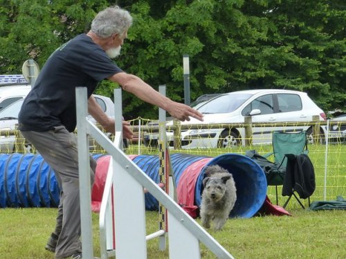 Concours d'agility de Fontaines, le 29 mai 2016