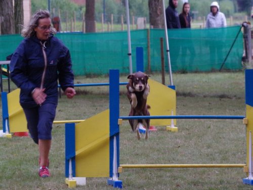 CAESC et Pass-agility Fontaines 17 septembre 2016