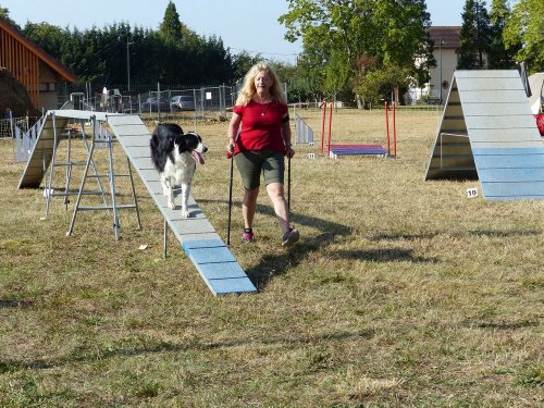 Concours d'agility de Fontaines, le 15 septembre 2019