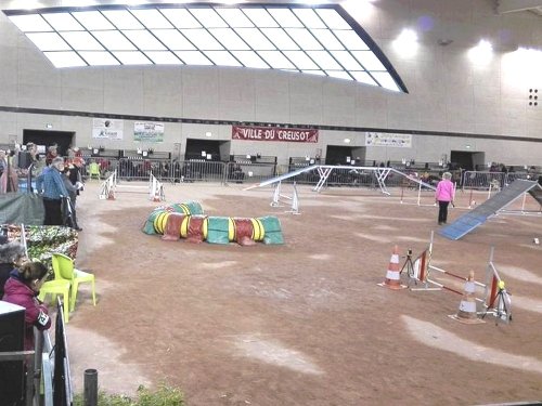 Concours d'agility en salle à la Nef au Creusot le 12 novembre 2017