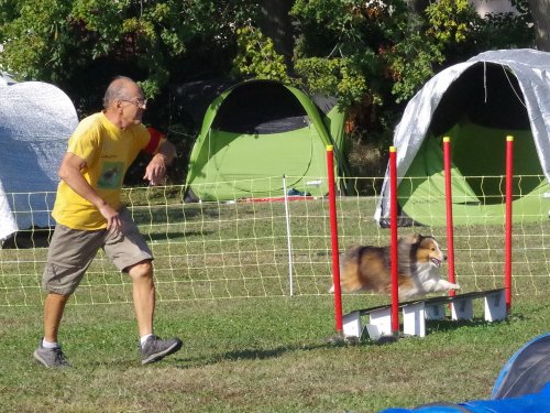 Concours d'agility, Fontaines, 9 et 10 septembre 2023