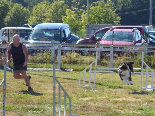 Concours d'agility, Montret, 29 juillet 2018