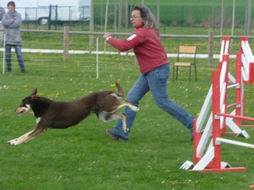 Concours d'agility, Barges, 16 avril 2017