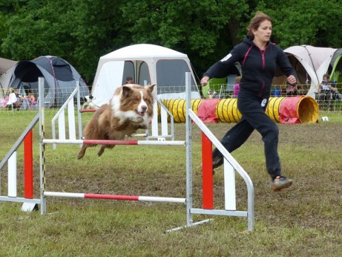 Concours d'agility de Fontaines, le 29 mai 2016