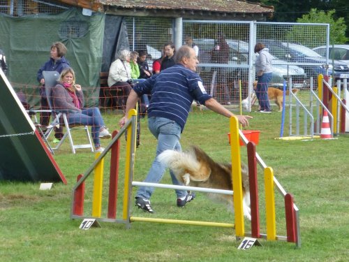 Concours d'agility, Autun, 10 septembre 2017