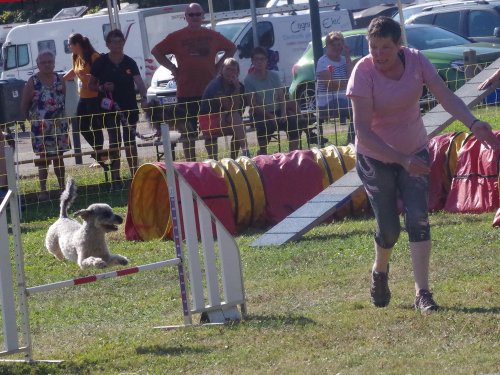 Concours d'agility, Fontaines, 9 et 10 septembre 2023