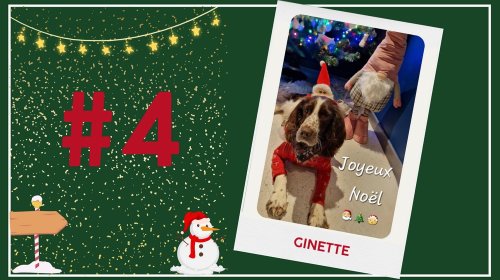 Concours photos 2024 : sur le thème de Noël