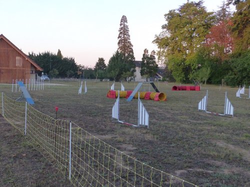 Concours d'agility, Fontaines 11 septembre 2022