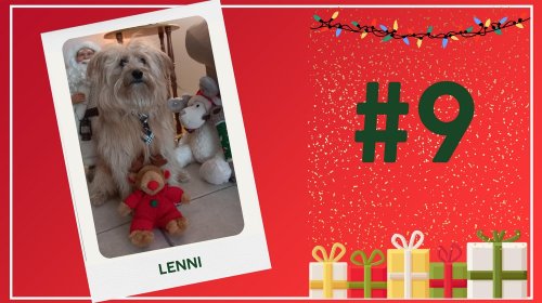 Concours photos 2024 : sur le thème de Noël