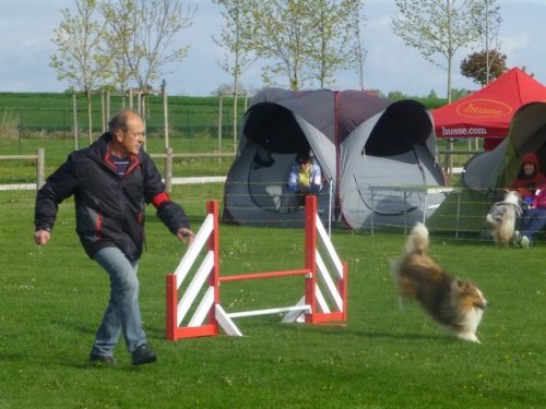 Concours d'agility, Barges, 16 avril 2017