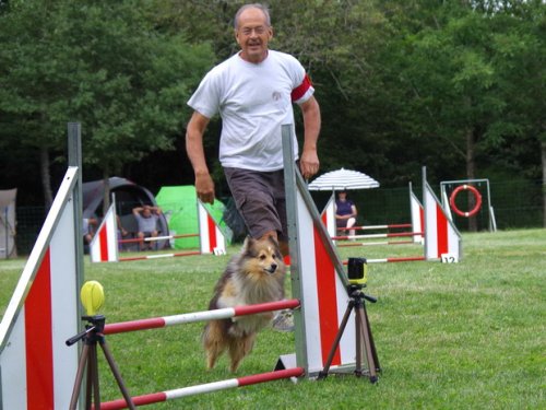 Concours d'agility, Sanvignes les Mines, 6 août 2016