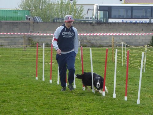 Concours d'agility, Barges, 21 avril 2019