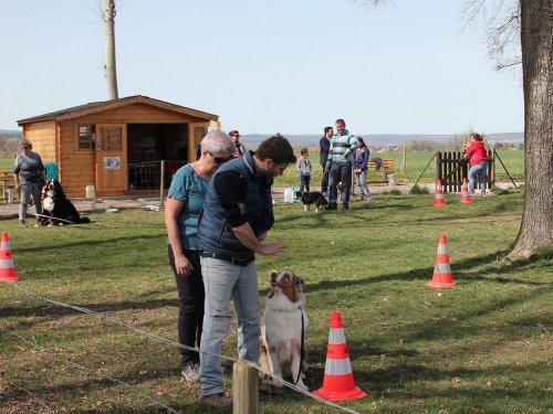 Cours d'éducation du 7 avril 2018