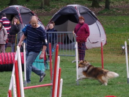 Concours d'agility, Le Creusot, 19 mars 2017