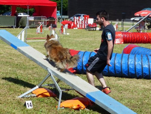 Concours d'agility de Fontaines, le 28 mai 2017