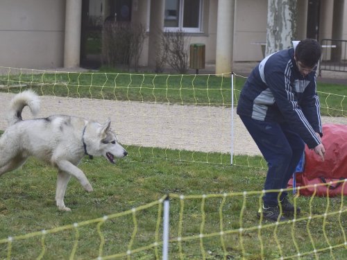 Démonstration au lycée agricole de Fontaines le 18 mars 2018