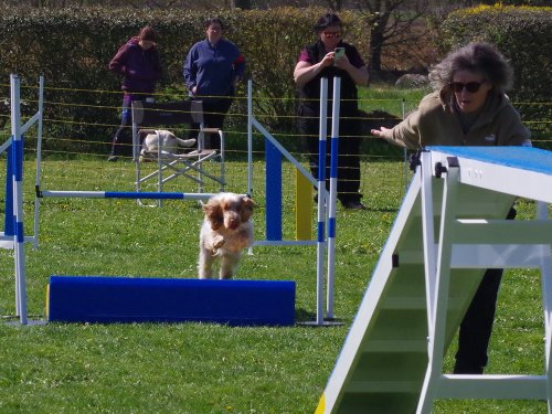 Concours d'agility, Barges, 9 avril 2023