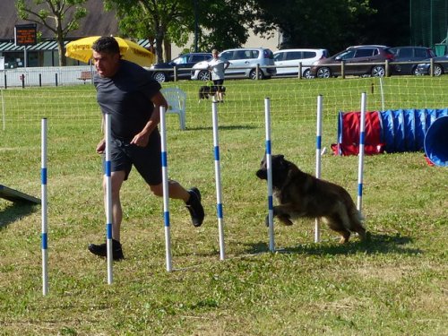 Concours d'agility de Fontaines, le 28 mai 2017