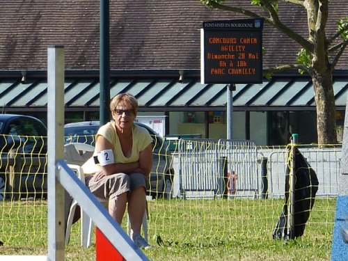 Concours d'agility de Fontaines, le 28 mai 2017